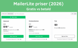 MailerLite priser 2026 - är det prisvärt?